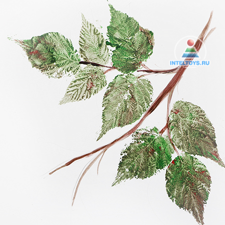 Рисование отпечатками листьев для ребенка